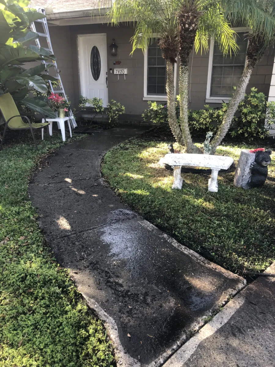 Concrete walkway pressure washing in progress